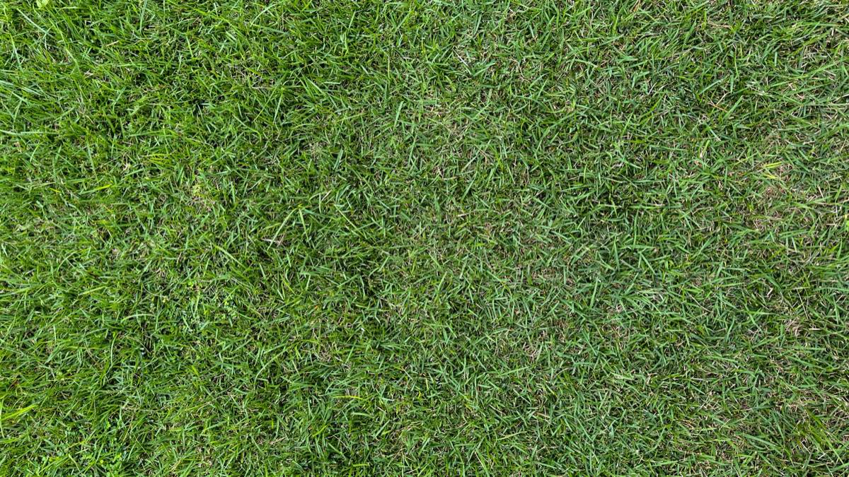 Sod Removal & Replacement in Corpus Christi, TX