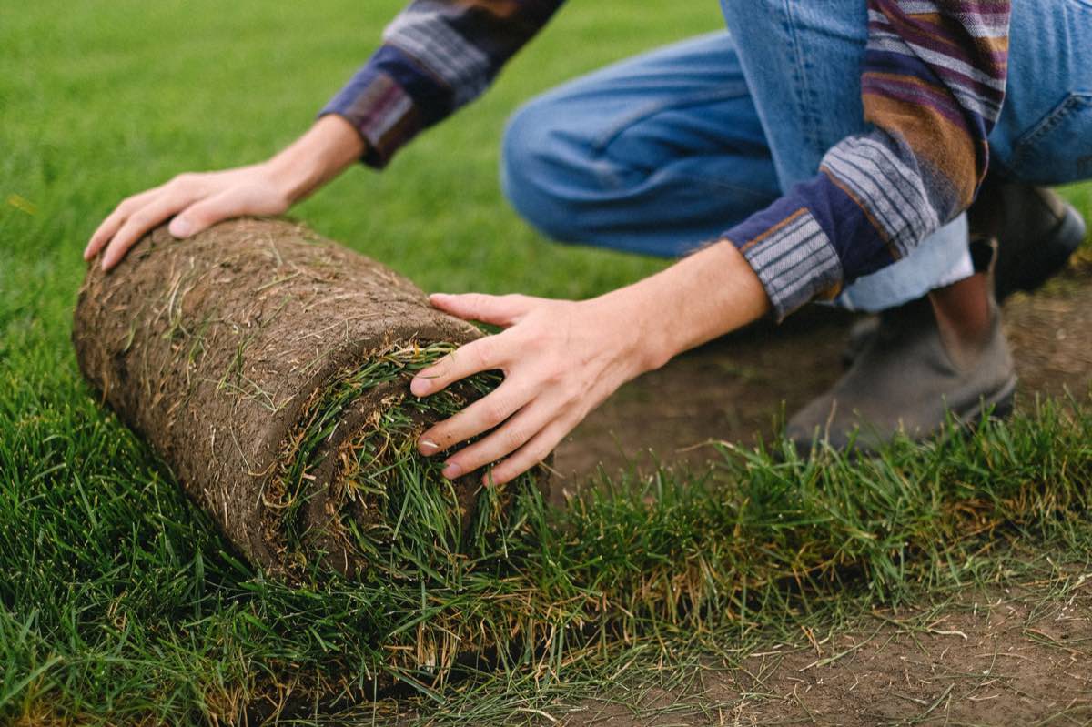 Soil Prep & Topdressing in Corpus Christi, TX